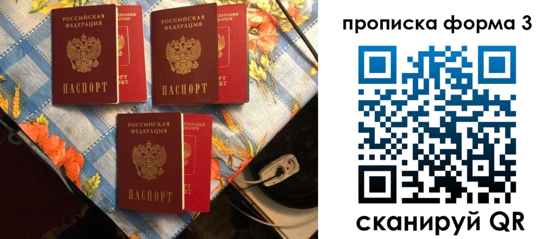 где прописаться в Вологде